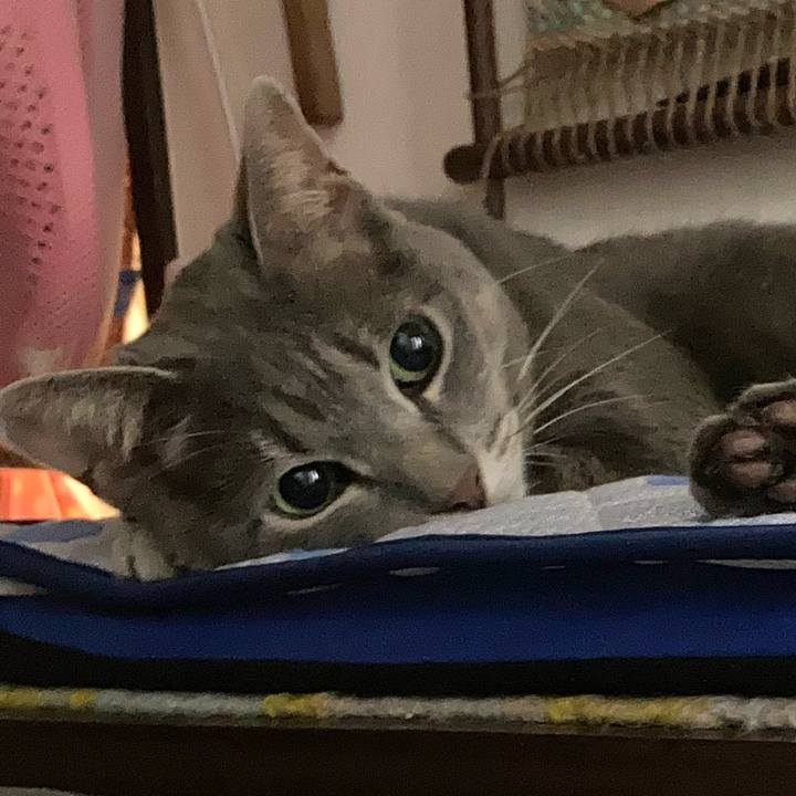 8094f822 15c0 4145 9f4c fdb87aa3cfdf 1721490763005