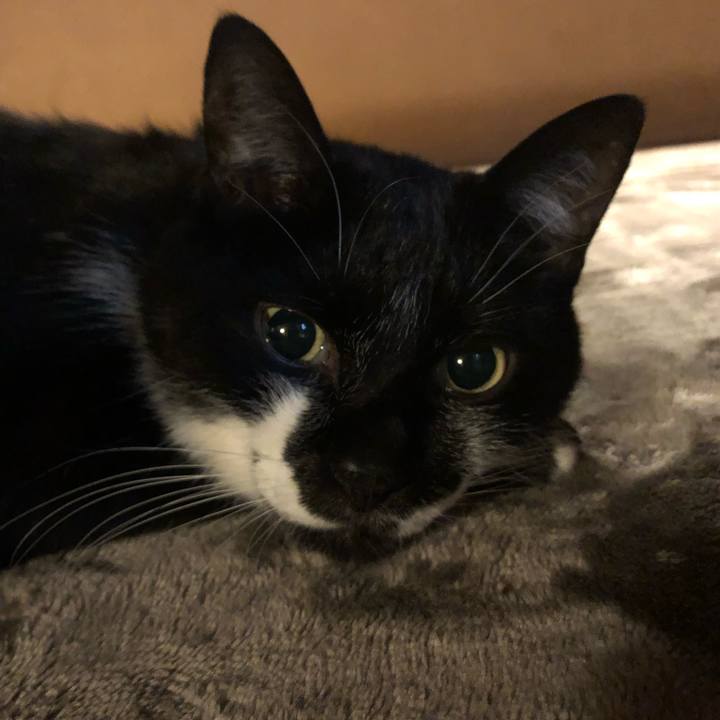 809505ba 3b04 47e5 a27c 659b835ee5a2 1574112823839