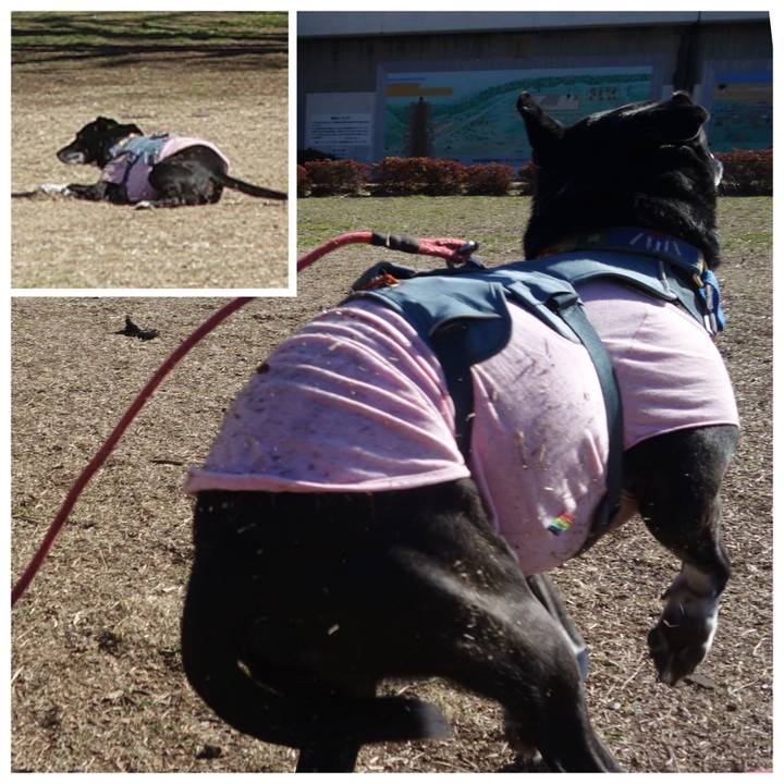 80950a1c f372 4990 b8db f1883155f444 1710033899230