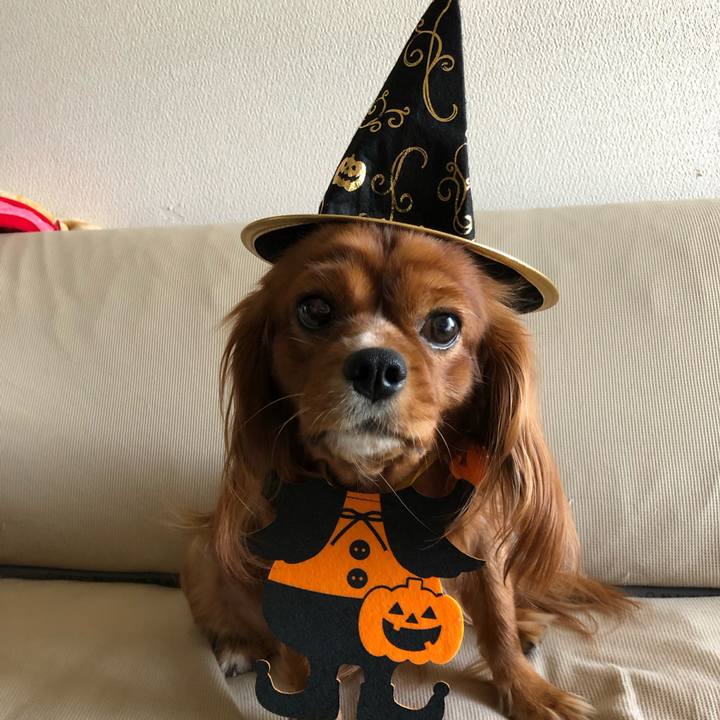 809524fd e5d9 4d57 92f2 b17211746f0c 1570256149810