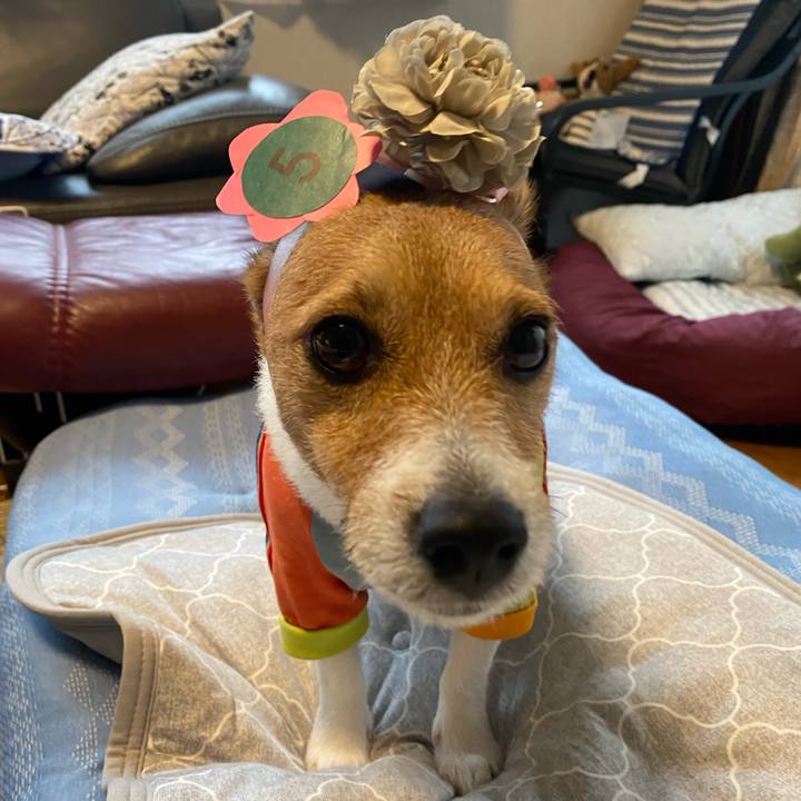 80953c39 879e 4173 a413 3c440ff822e6 1694560789679