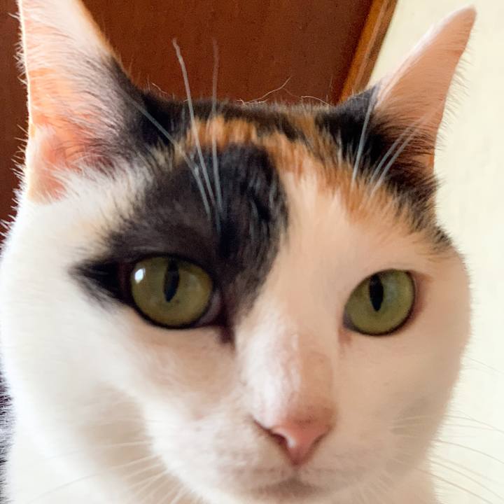 80959087 e53a 45db aaf3 0701aa9945be 1591408671651