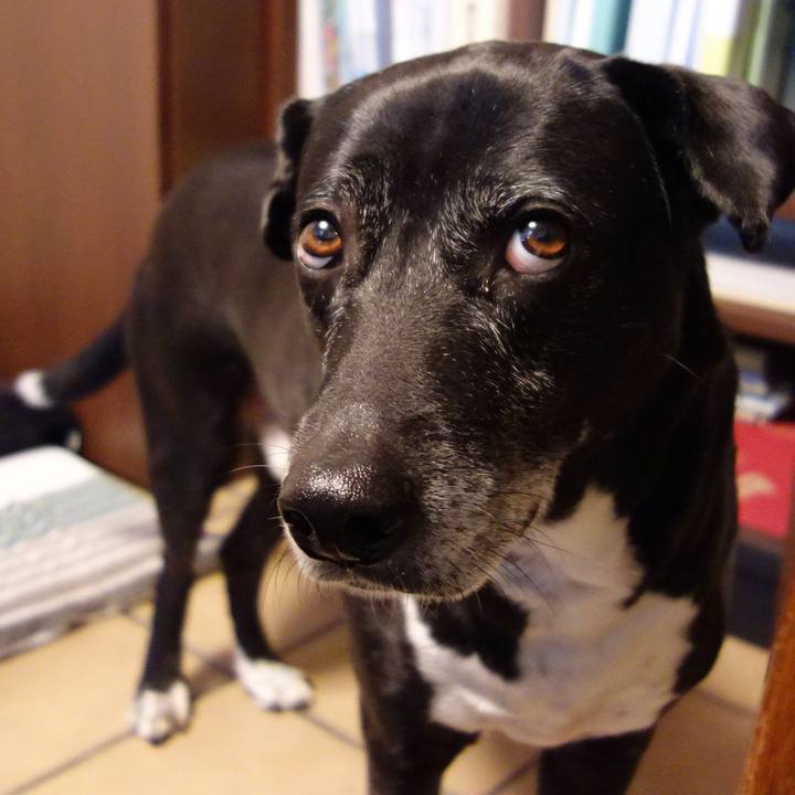 80959387 b3bd 4f6f 83e6 880e9395620b 1743294616902