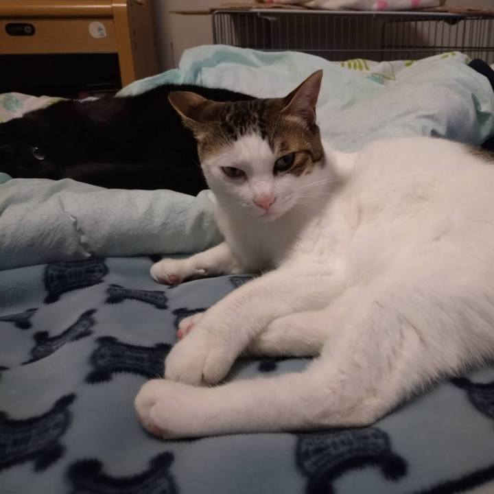 8095b0dc 408c 4ba3 a250 fe2e2a8a9643 1747471228155