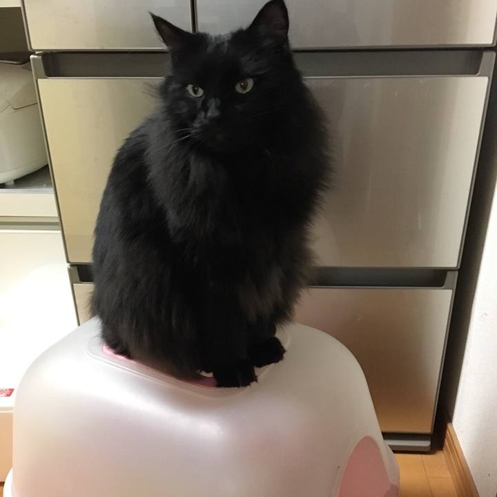 8095d11c 8ab7 4da8 ad2e 0fd3aa1518ec 1546058384288