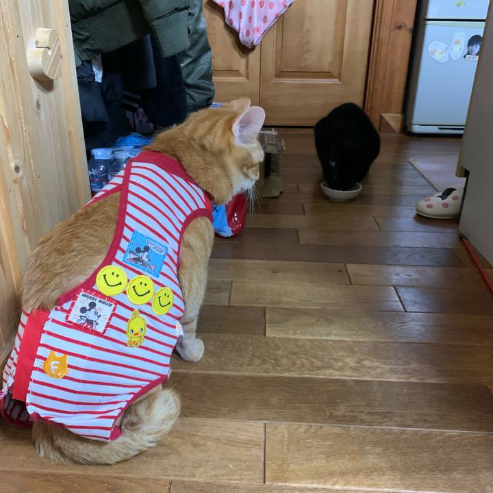 8095d7b5 8590 4c16 8585 b960c4d81152 1576326469185