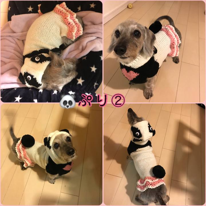 8095dba8 1085 40a7 912e c6e78197a931 1509010414912