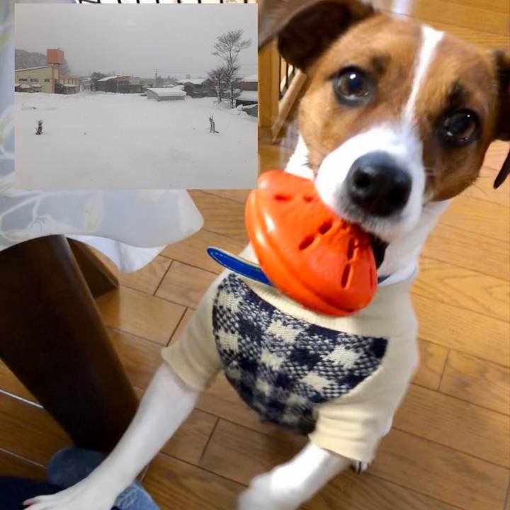 8095e800 595e 4a50 81a4 7c2c9f657eae 1547594677465