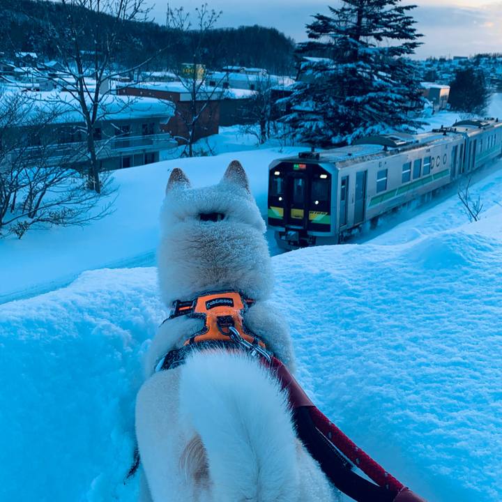 8096249d 8b5d 44f5 936a b2e3f5274eb8 1676327061311