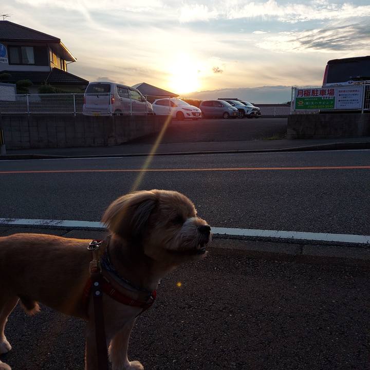 80962c4a f5b2 4404 8e37 025388385dcf 1626385786541