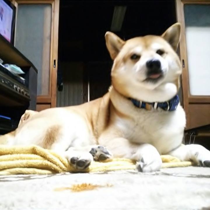 8096aaf4 5edc 4f81 b6cf 3b9c98083b19 1545564475570