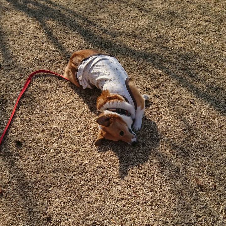 8096c847 da19 4720 9207 d9c8ea06b5cc 1518164968097