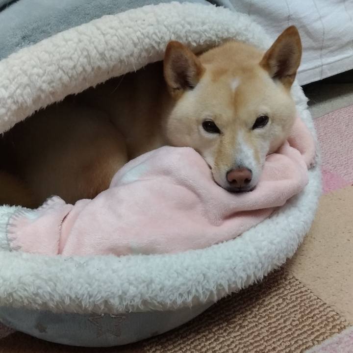 80970b47 621e 4acd a0b5 acaaf16c2745 1606951222067