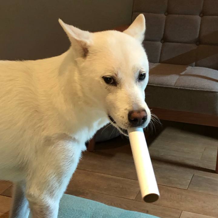 80971ace 4782 471e b840 bd3165bbbd4f 1582374080744