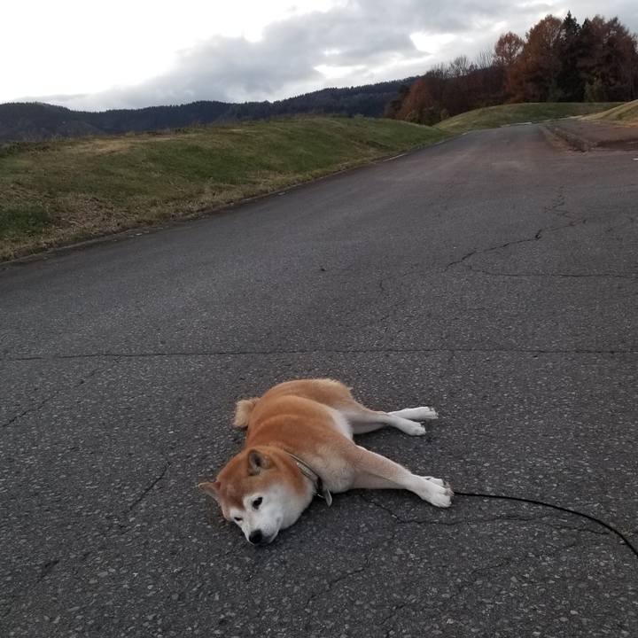 80976263 f188 4ead a798 3024afac6821 1669016127014