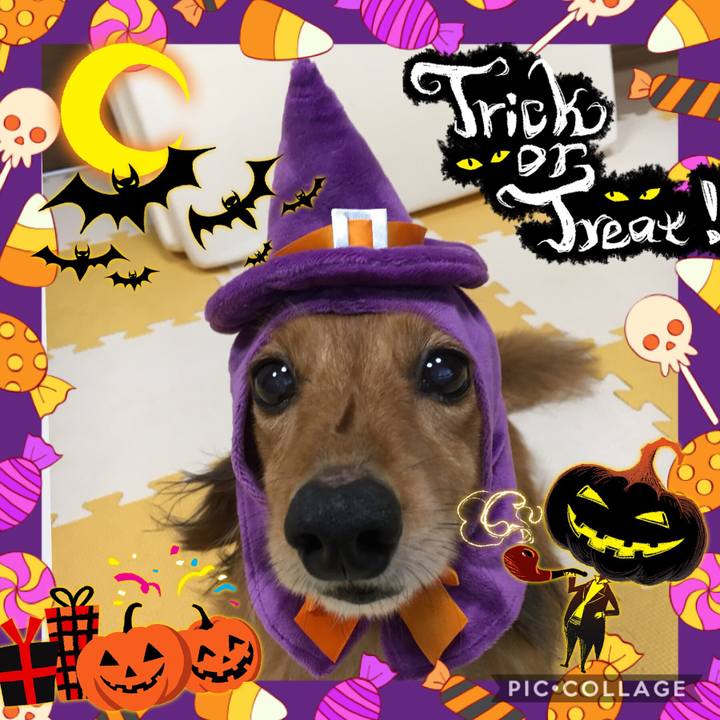 809765c2 56a5 4720 b218 0fb38a0b81d0 1539241163743