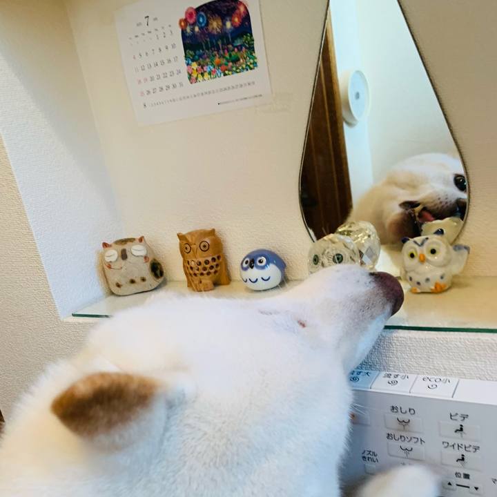 809785f2 c0c4 45d8 ab5a 3ff995fb567c 1626384167265