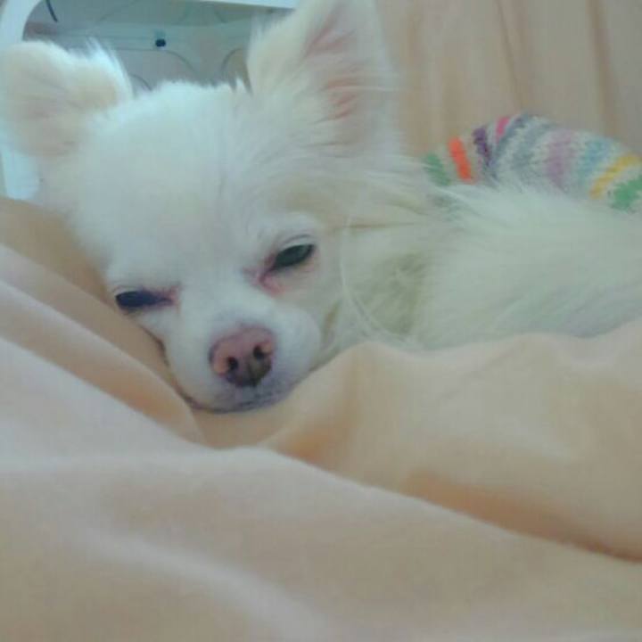 80978e14 3e98 4b58 894f 74bd3e7f17e7 1548223941100