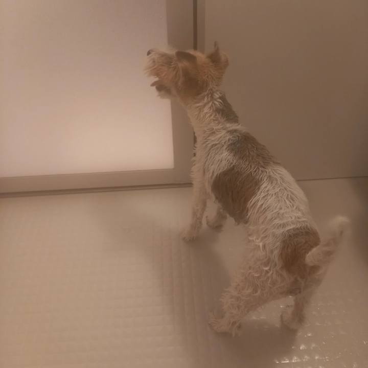 80979c32 a73d 411c 9cfa 0aaa5b8b4bc7 1607089856481