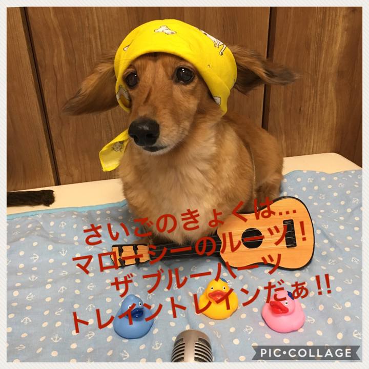 8097c137 ad74 46f1 8b0d 79ebd66d4bec 1534084986770