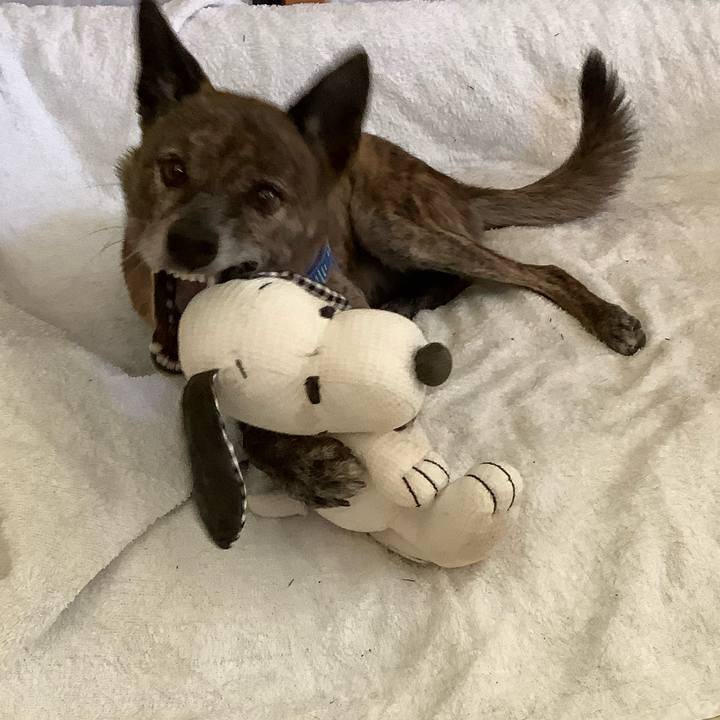 8097c431 69ab 4f6a 812b 214c314d718e 1698305812519