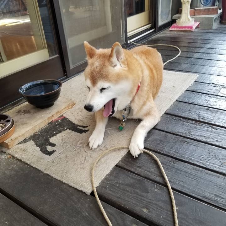 8097d098 9386 43a9 9e2c 0a529167d493 1727218766991