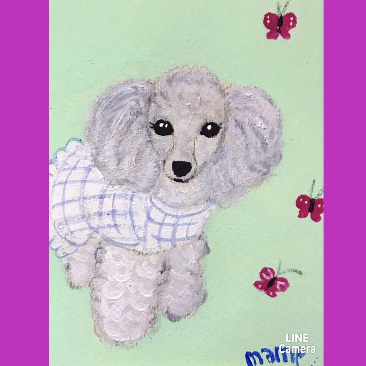 8097d9f9 ba18 4bb3 8080 7d7452399649 1608544666155