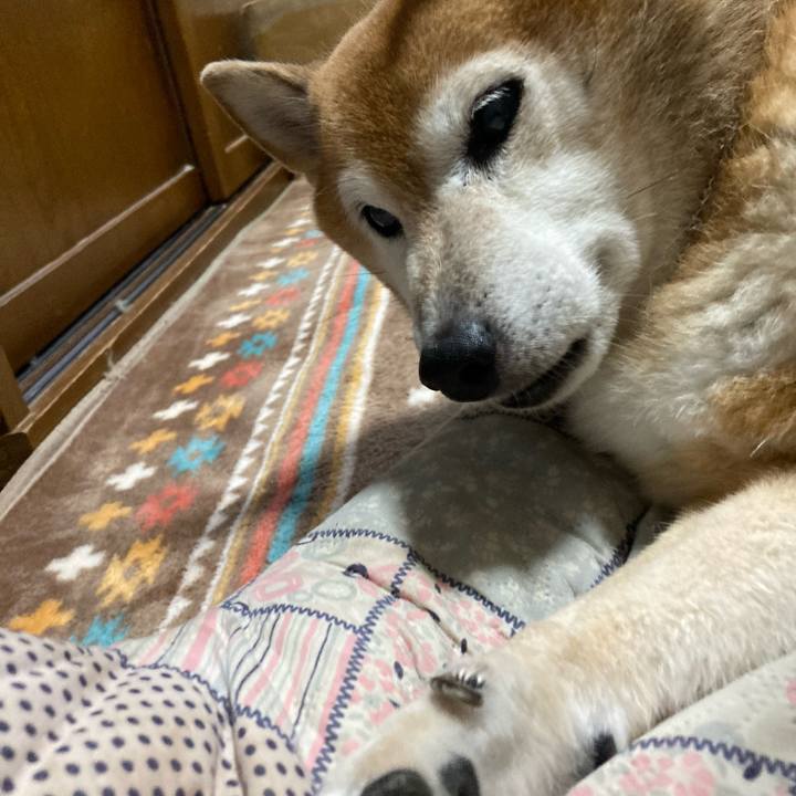 8097e572 5d69 445e bf10 efd3fae11251 1728107663219