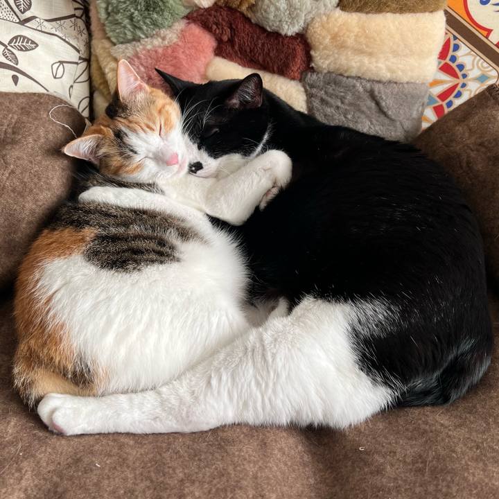 8097e5bd 18ad 43ae b170 0b56e006f444 1763275140766