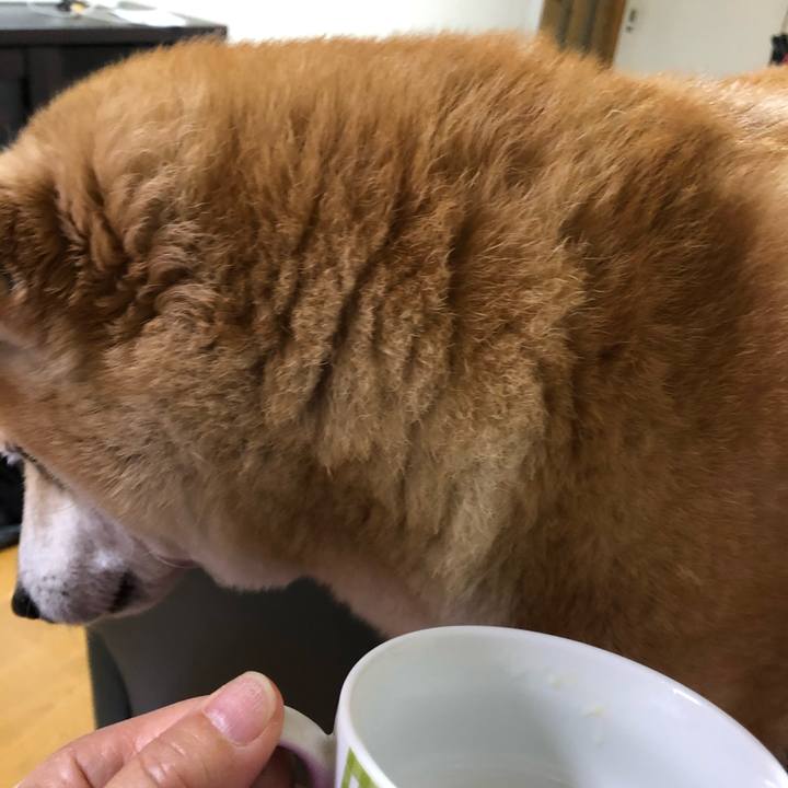 809811d2 2193 4f7e a139 8440d517b208 1584875385527