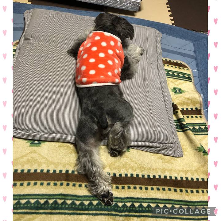 8098180e 5cec 4523 aeda d1a11856bee3 1708864123999