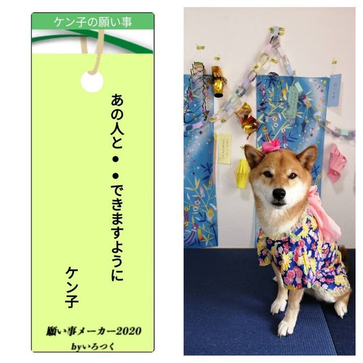 809818f1 ca6c 4832 8b69 124e4c2f739f 1594080018060