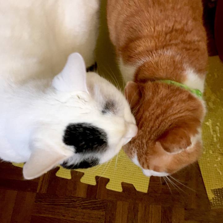 809819dc f9c8 4e26 91fe 2c66346a0e5a 1555365291212