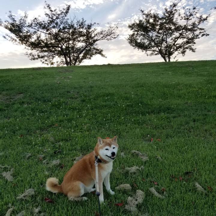 80982d46 d1cd 4b91 a877 5904a1c7585f 1664179272447