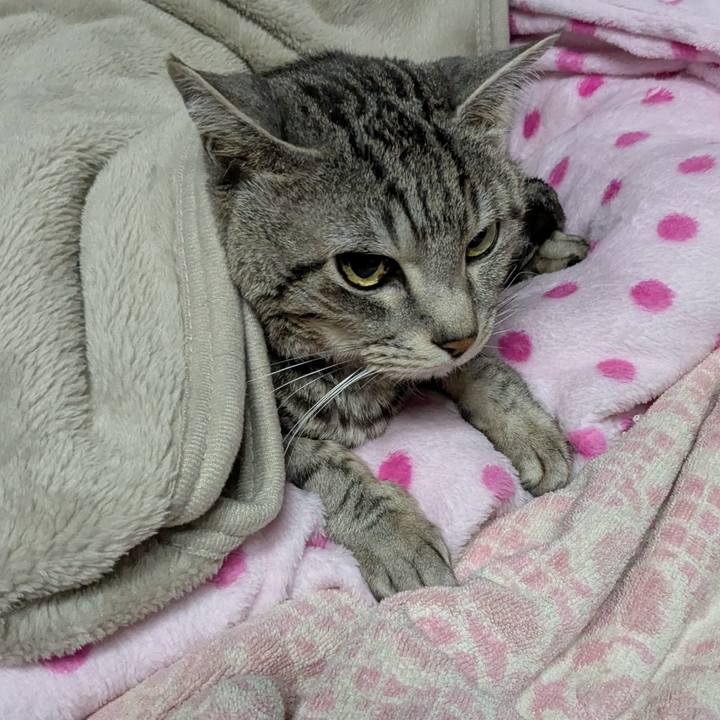 80987ed5 ff16 4d4a 98b9 248c79178223 1741274004681