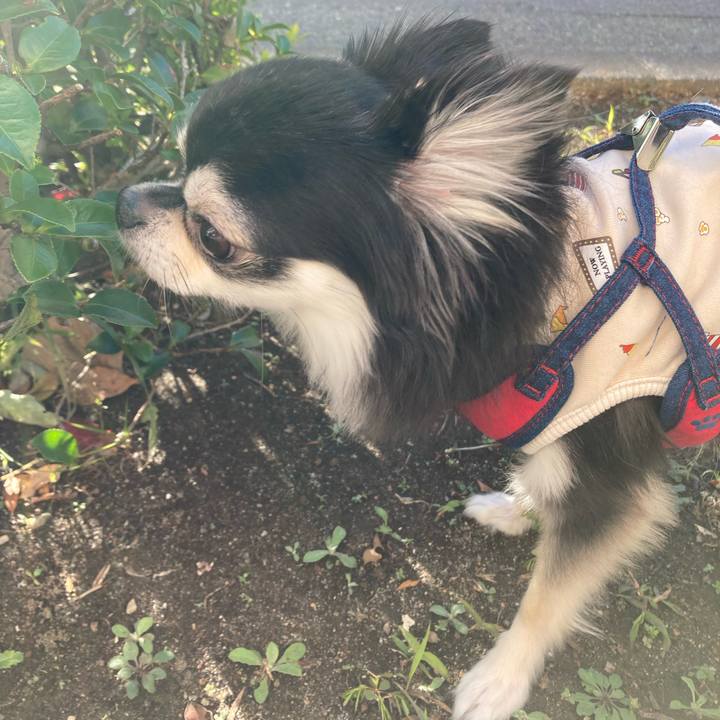 80988777 3fef 4d4f 94cb edb1e10d0c5d 1700406127915