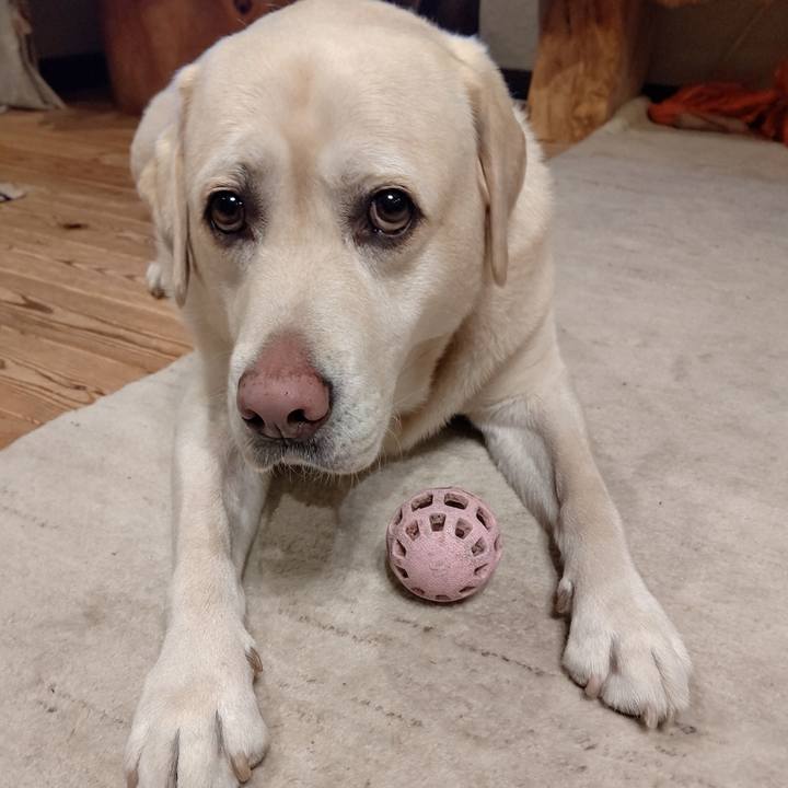 8098c5d7 ca72 464a b2c7 7551351a4d66 1698802504682