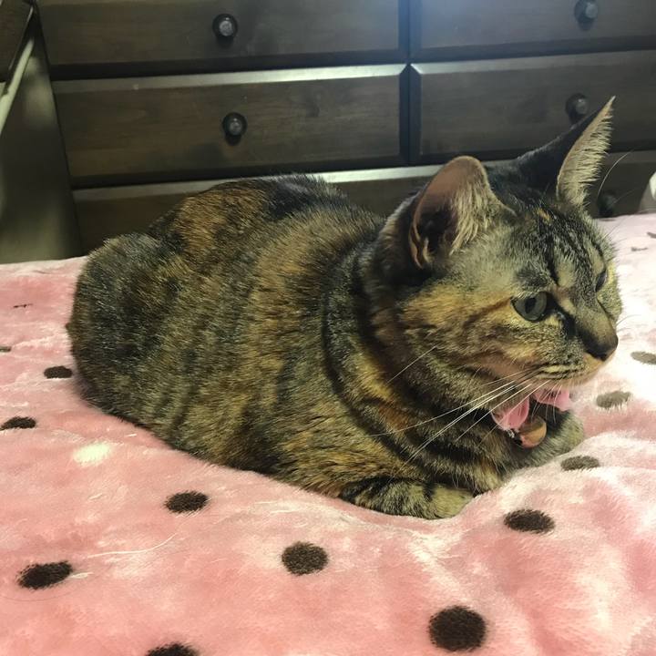 8098d63e 467a 4c3a bba3 57e96634df99 1521647370655