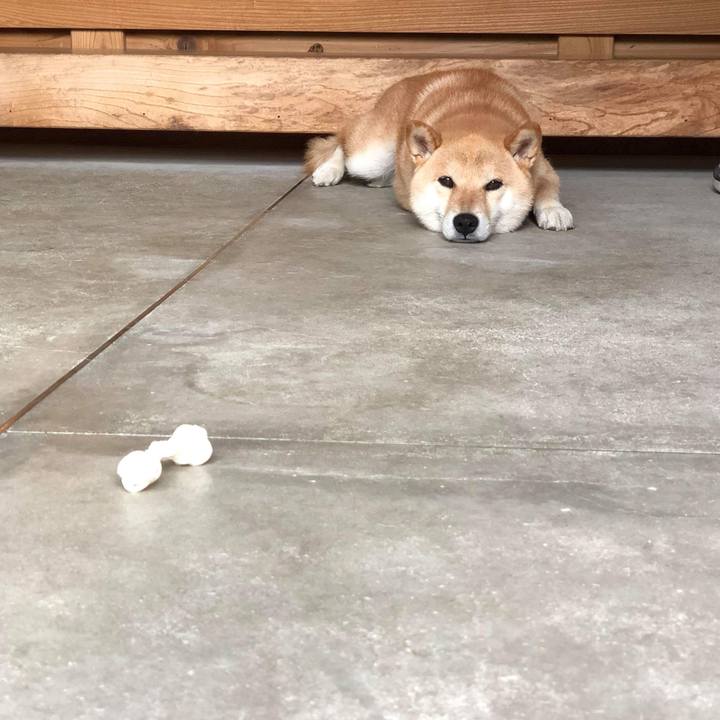 8098e0ba 24a3 4c4e 8612 00a4b3f906d0 1527560974992