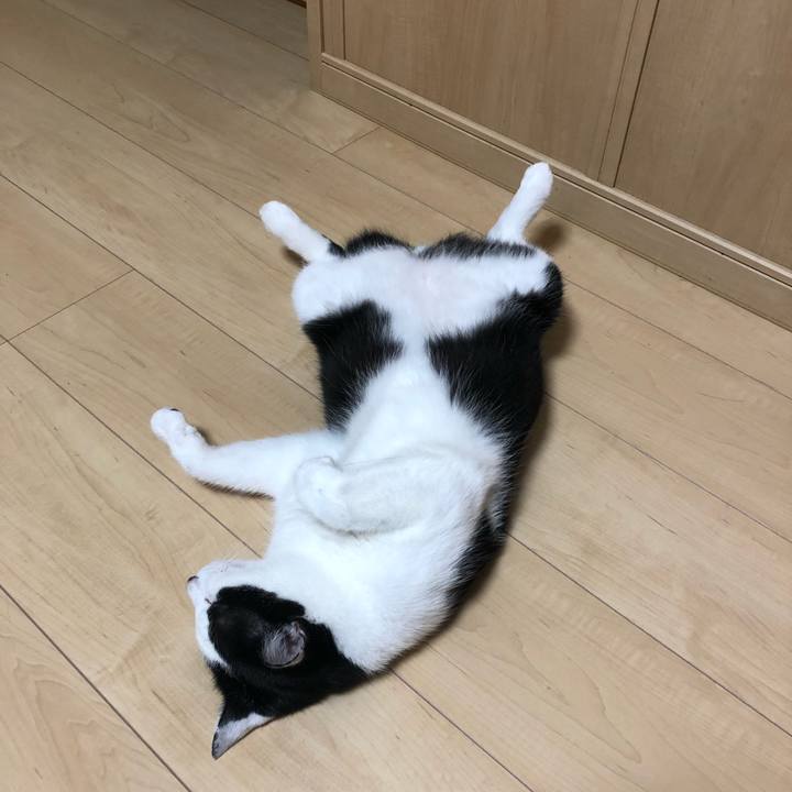 80993b2f 3204 457d a5d7 2887a3176dbb 1570714041041