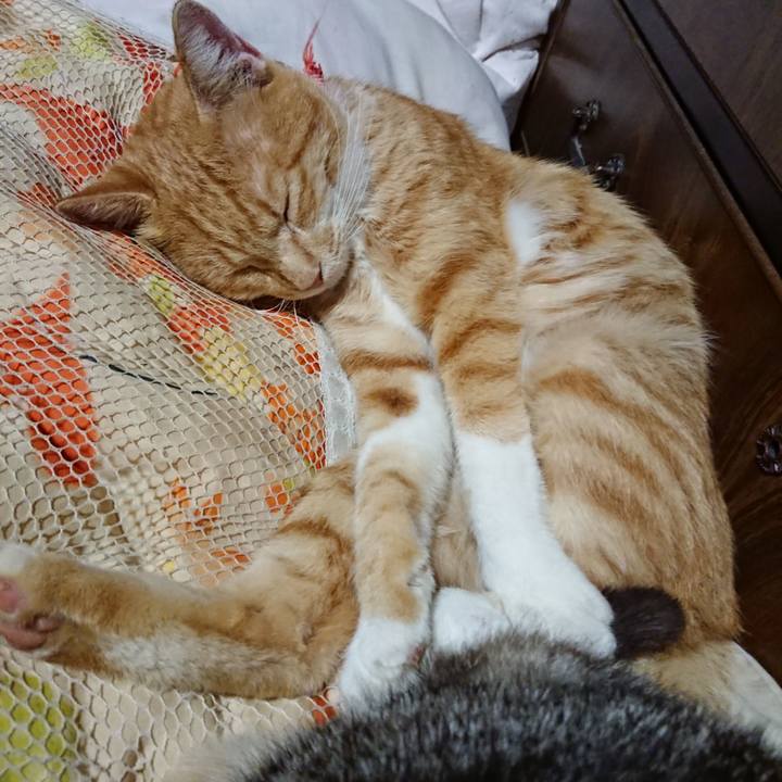 8099536d 1fc9 49f1 9af6 2cc0acf7ab43 1568811141880