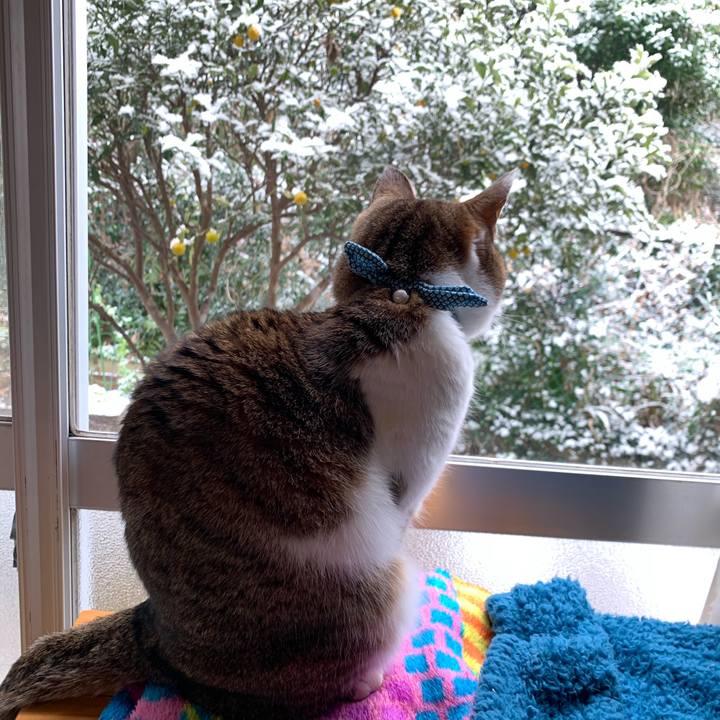 80996896 5845 482d af59 9dba66c23303 1613608901735