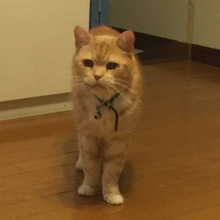 809971db 2628 4ba8 9bda 09a7fadaa99f 1560008428383