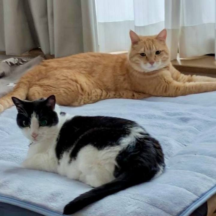 8099cdec 8980 45e9 ae13 afe5b4dbe0aa 1759714963415