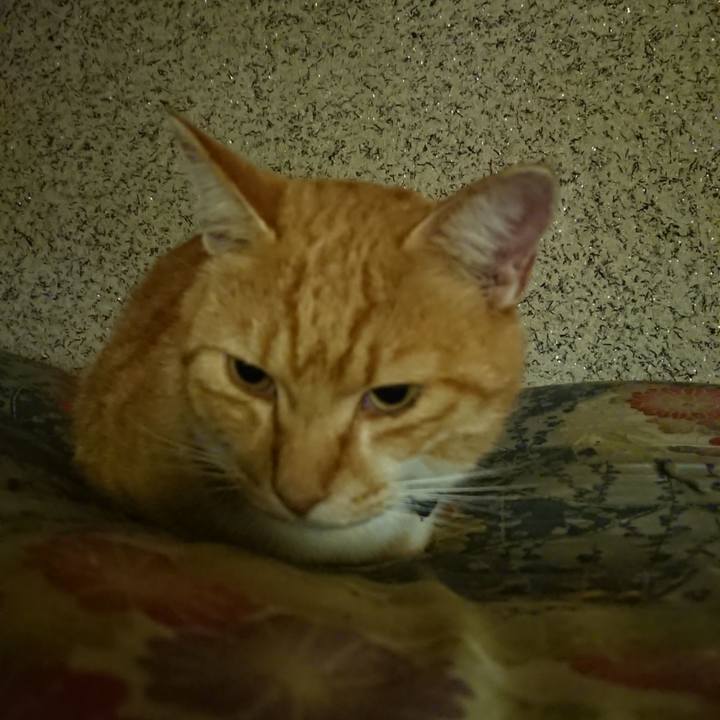 8099f355 a39d 4e4f 8b75 d1a906f6962d 1602588708561