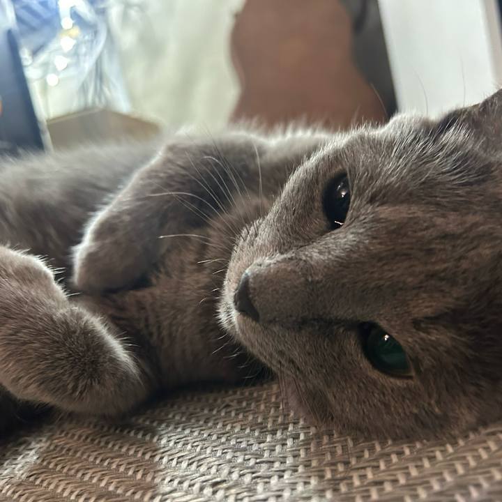 809a0713 4782 4d74 9e3a e4937c79a589 1721906276371