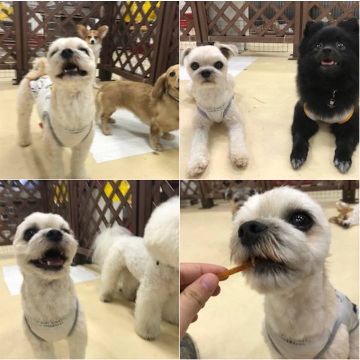 809a3317 f8a7 4691 9283 18f55d858044 1531914184585