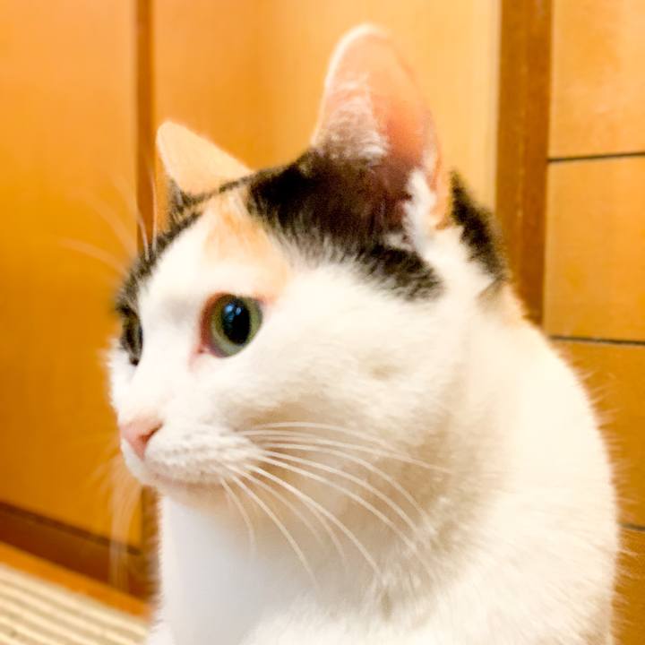 809a3668 b665 453d 8a43 450786c4676c 1547257539661