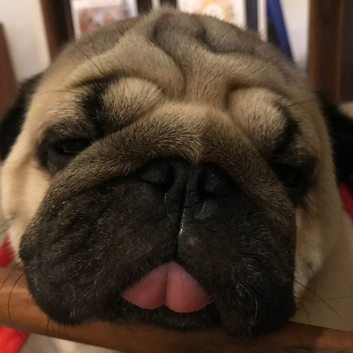 809a43a7 8b93 4f7b 8f99 91ffdf7c7226 1589949176011