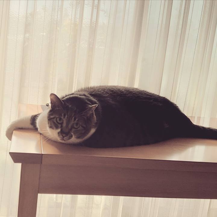 809a56a4 d1de 4be8 a188 5c54797b4cd4 1626482370271